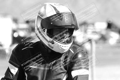 media/Feb-23-2025-2WTD (Sun) [[9604a77d5d]]/1-Around the Pits/